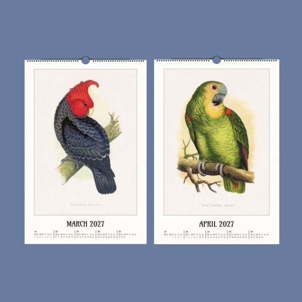 2027 wall calendar featuring vintage parrot illustrations March April