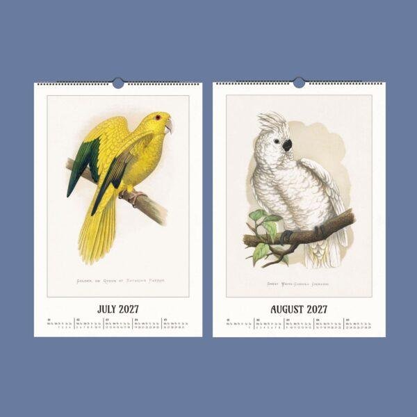 2027 wall calendar featuring vintage parrot illustrations July August