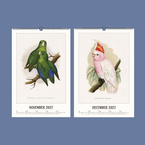 2027 wall calendar featuring vintage parrot and cockatoo illustrations