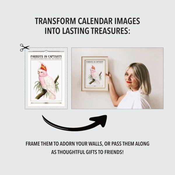 Woman framing a Parrots in Captivity calendar image