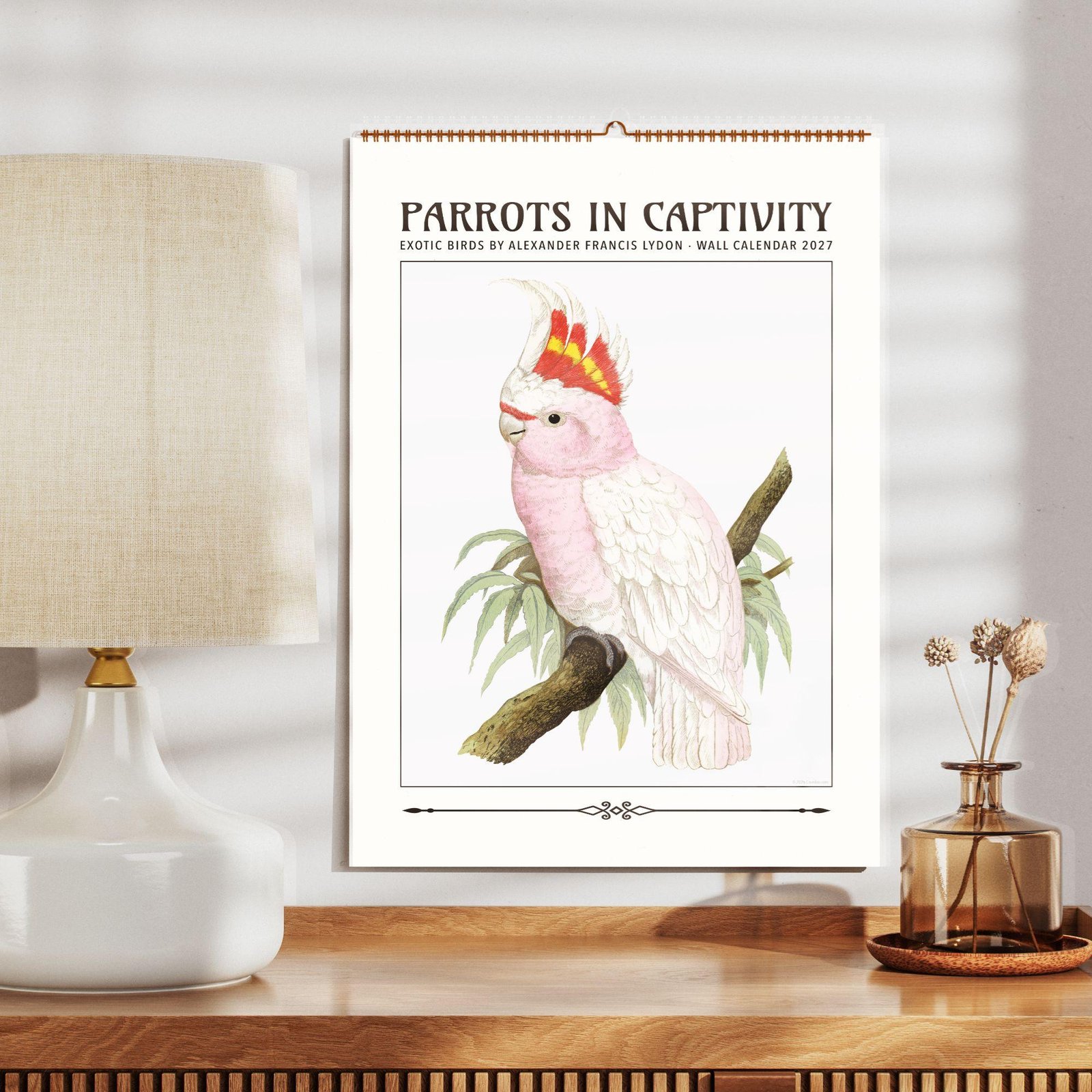 Parrots in Captivity 2027 wall calendar with cockatoo illustration