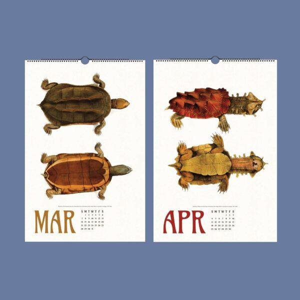 March and April calendar pages featuring vintage turtle illustrations