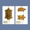November and December turtle illustration wall calendar pages