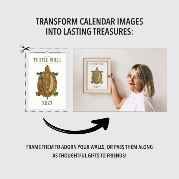 Woman framing turtle shell calendar art on wall
