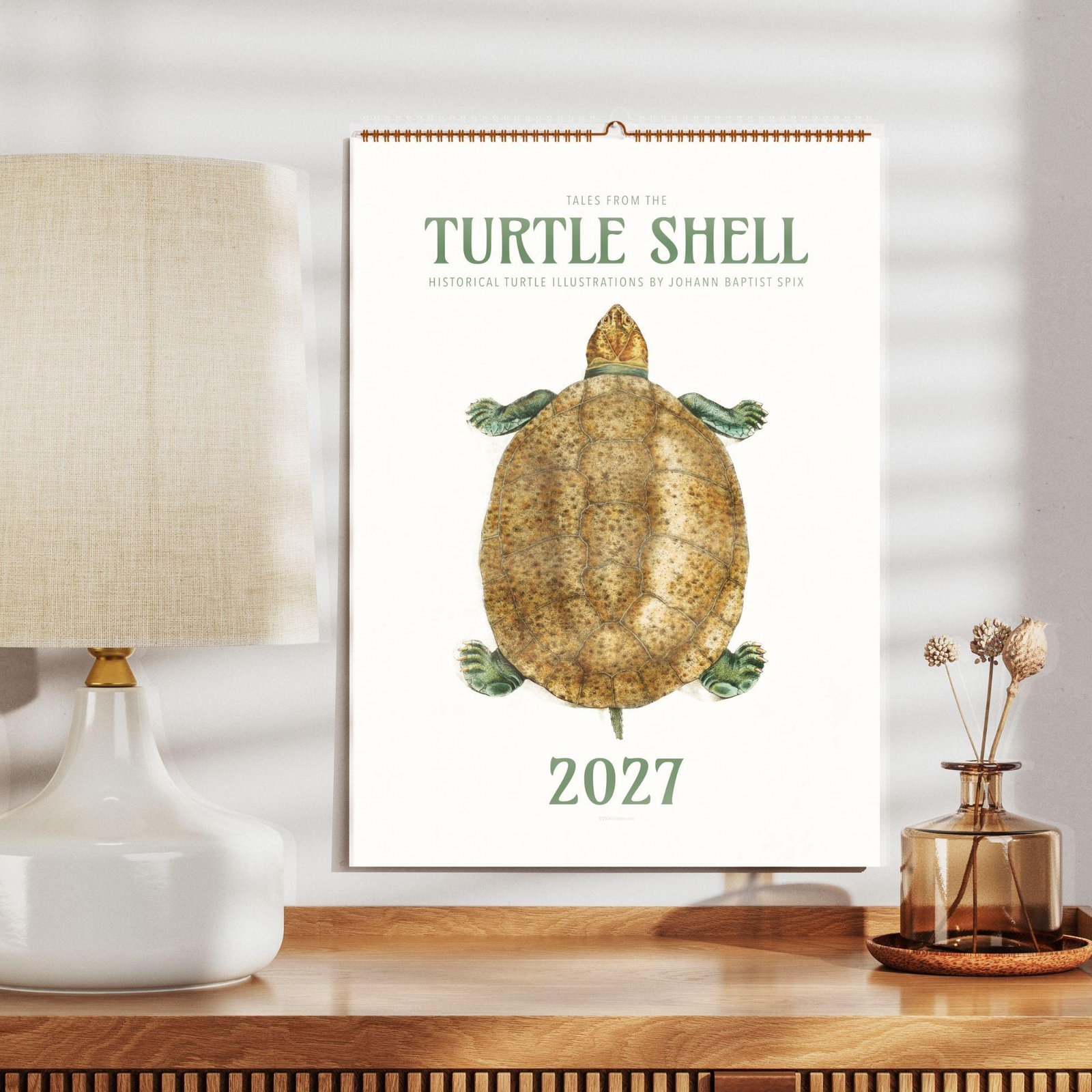 2027 Turtle Shell wall calendar with vintage turtle illustration