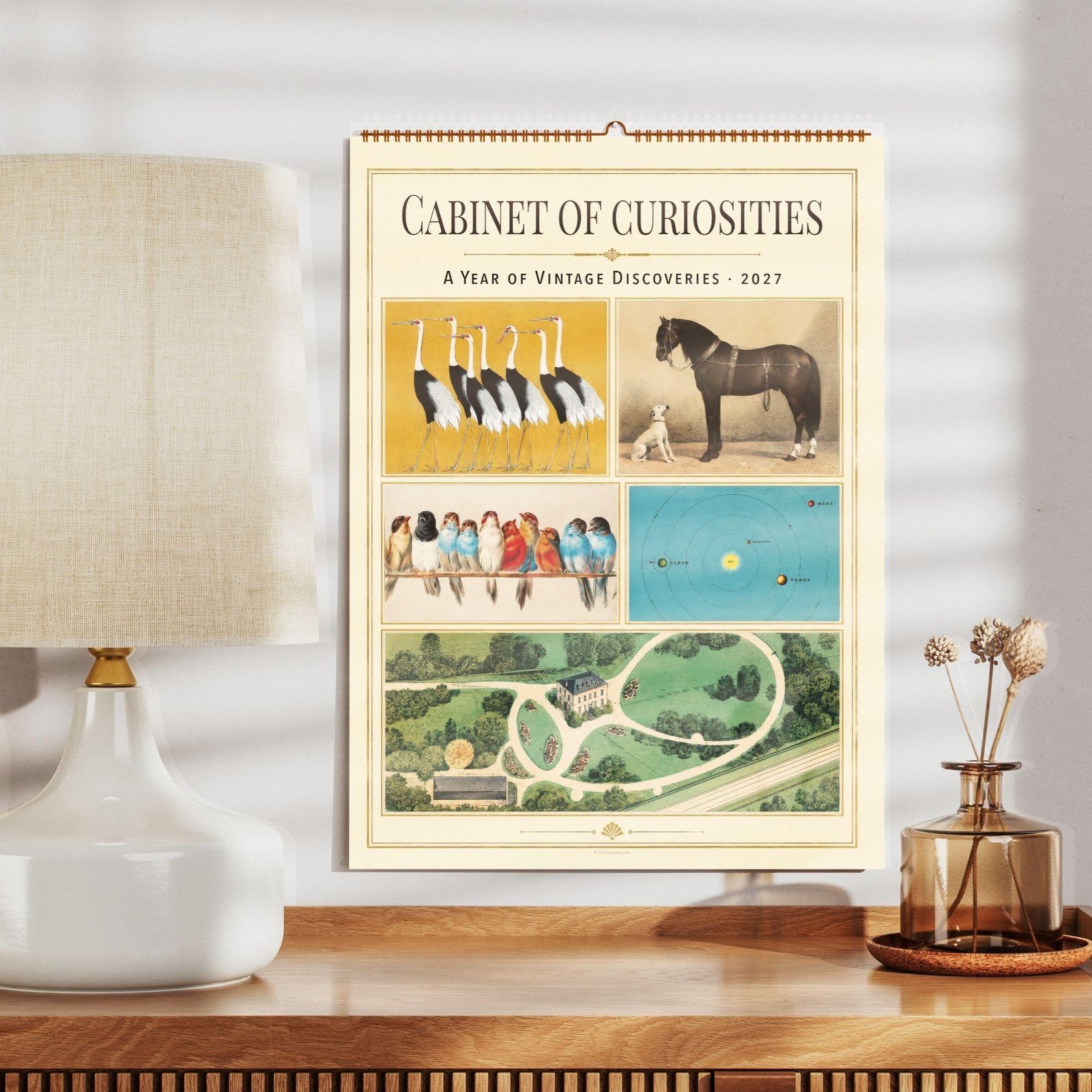 Cabinet of Curiosities 2027 vintage wall calendar on shelf